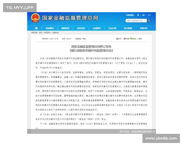 金融机构如何减少来自监管行动的安全和其他风险 在线 金融机构如何减少来自监管行动的安全和其他风险 在线